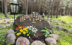 Kivi 3
